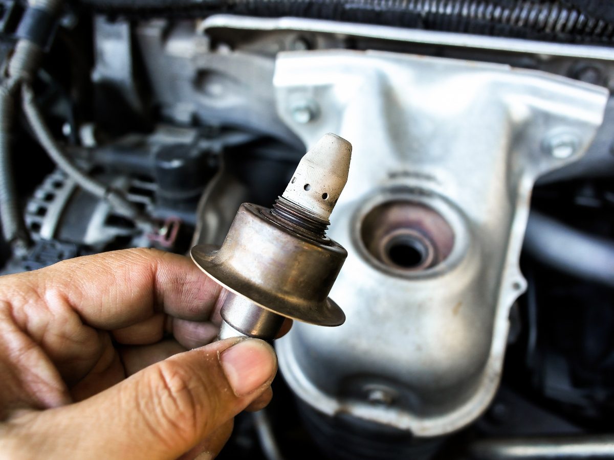 10 עובדות על חיישן קראנק